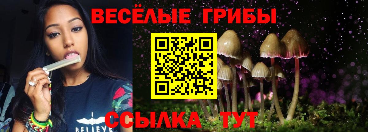 купить наркотик  Вход с VPN  Ачинск  Галлюциногенные грибы Psilocybe 